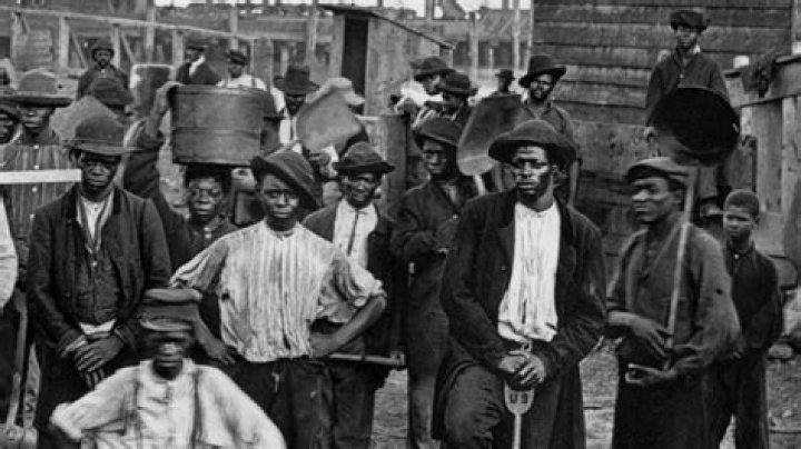 About us Slavery Free World