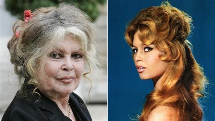 Brigitte Bardot Net Worth 2023 Film Salary Career Bf Age