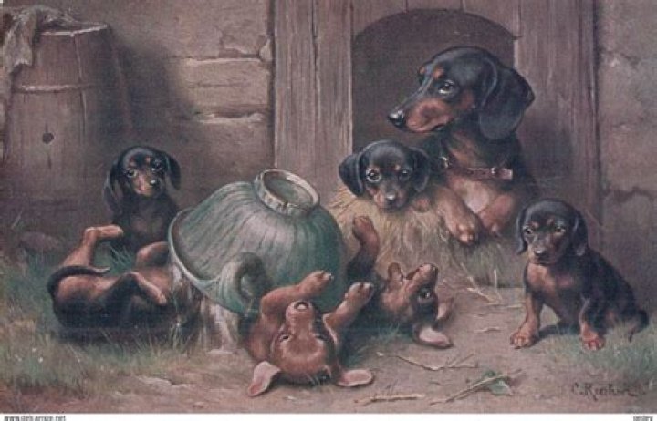 Carl Reichert chien famille Dog paintings, Dog drawing, Dog art