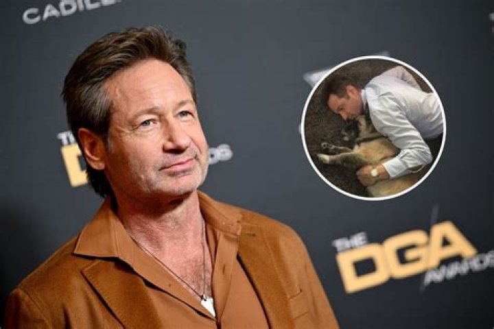 David Duchovny makes rare appearance with young girlfriend Monique