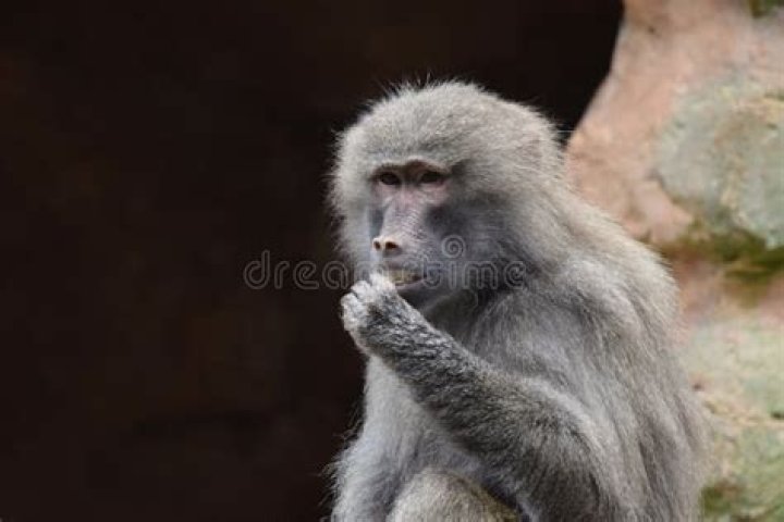 From ‘Who is he?’ to 133 Matt LaFleur’s first year