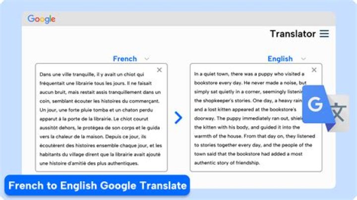 Google Translate translating the French literary text into English
