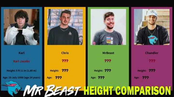 How tall is Mr Beast Real Age, Weight, Height in feet