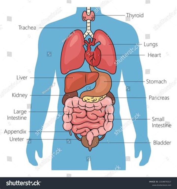 Internal organs 'meticulously removed' from Christine Silawan's body