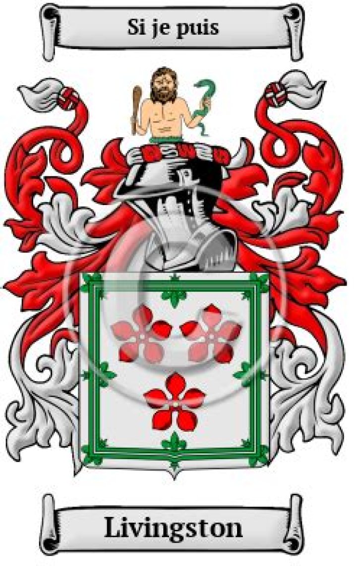 Livingston Name Meaning, Origin, History, And Popularity