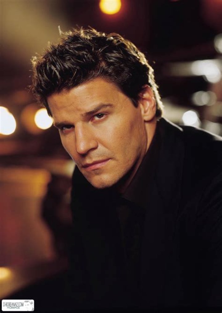 Photo de David Boreanaz Photo David Boreanaz AlloCiné