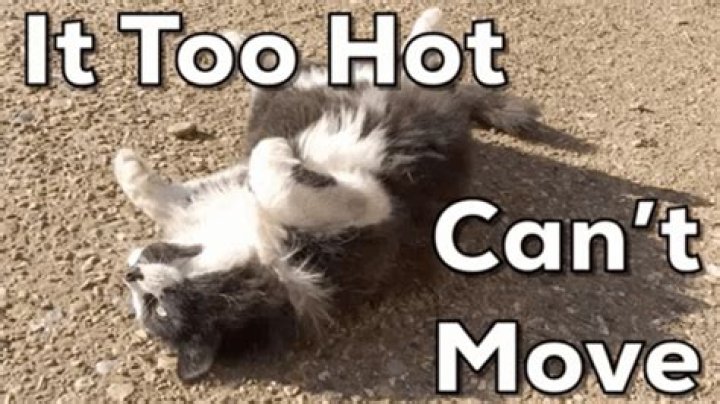 Pin on too hot too handle