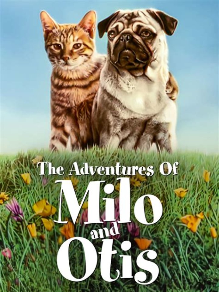 The Adventures of Milo and Otis (1986) Posters — The Movie Database