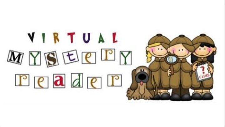 The Mystery Reader's Survival Guide The Lovable Rogue Mysteries