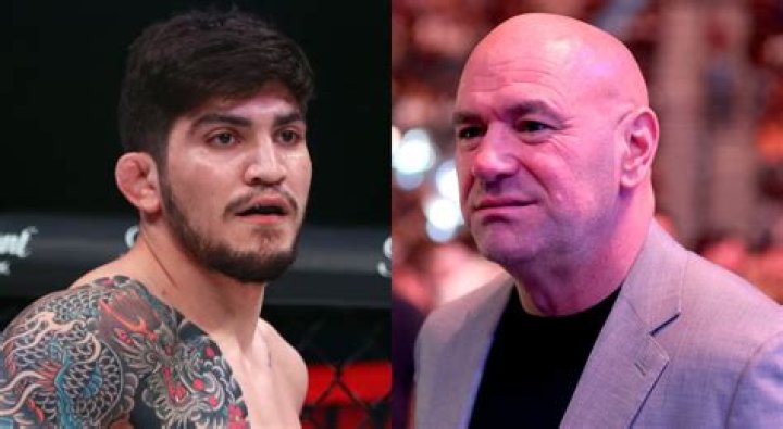 Who Is Dillon Danis' Girlfriend Savannah? What Jake Paul Said About Her
